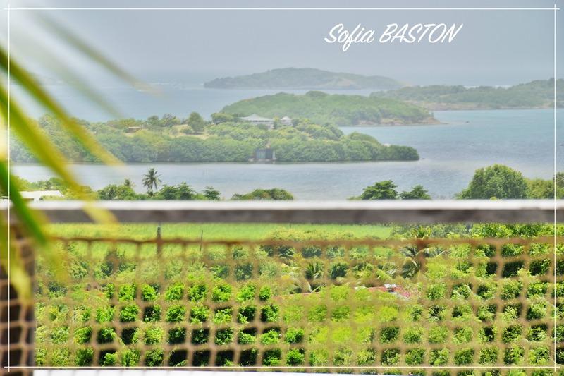 Maison - 192 m² - 8 pièces