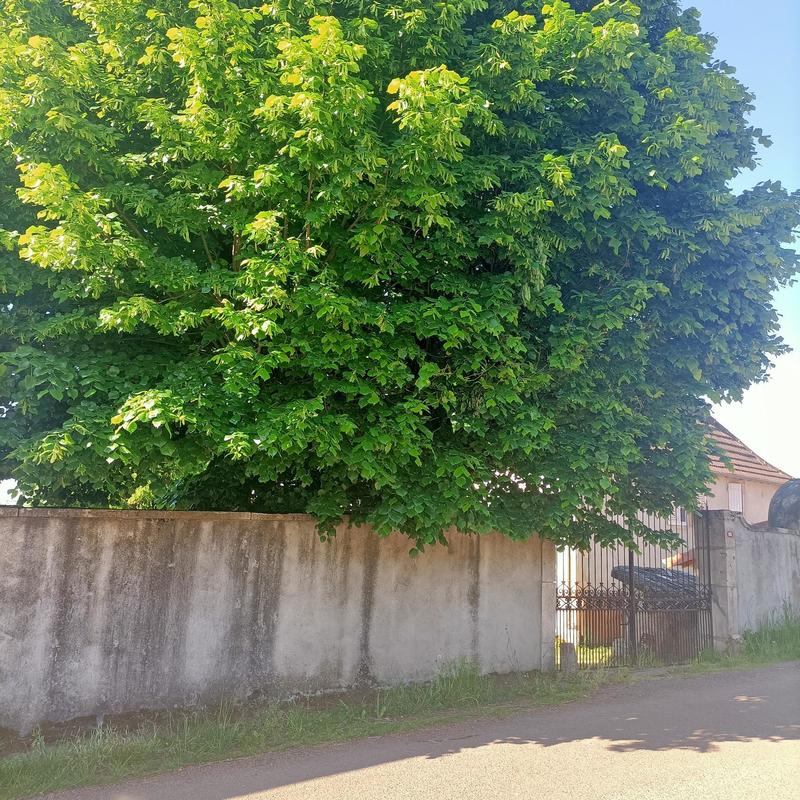 Propriété - 200 m² - 12 pièces