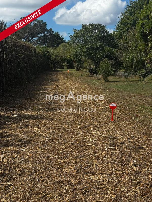 Terrain constructible - 721 m²