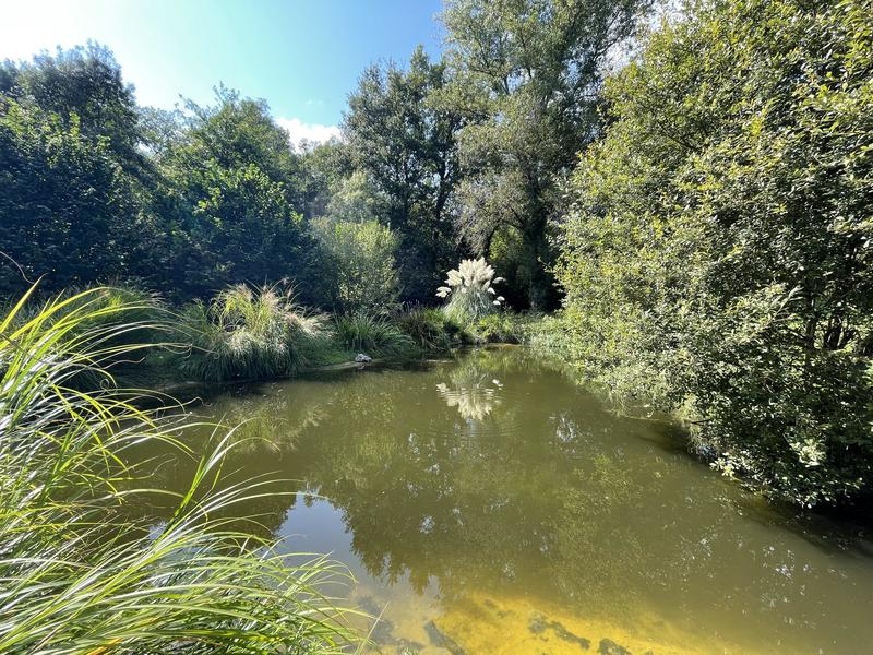 Maison d'architecte - 200 m² - 6 pièces