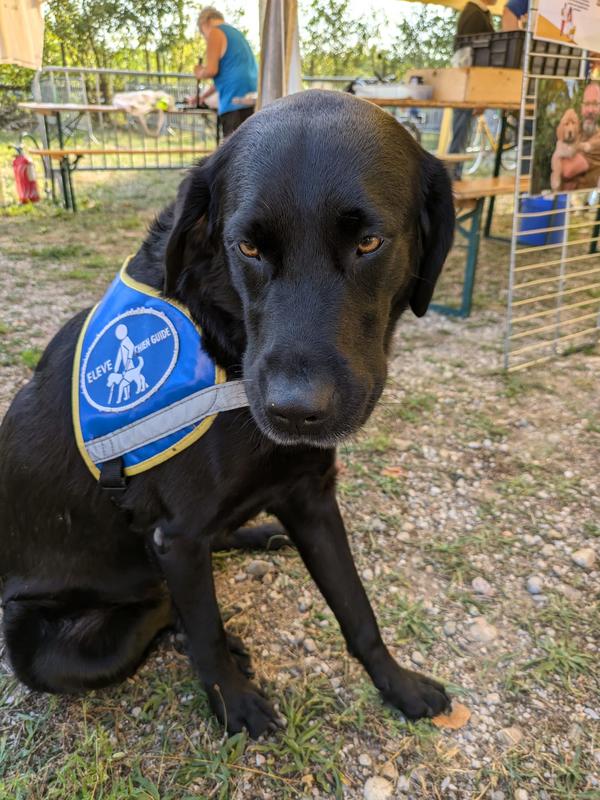 Cyclo Tour du Bassin Potassique