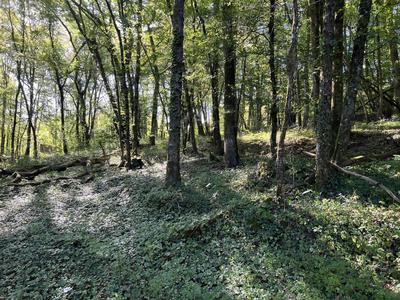 Terrain - 14 696 m²