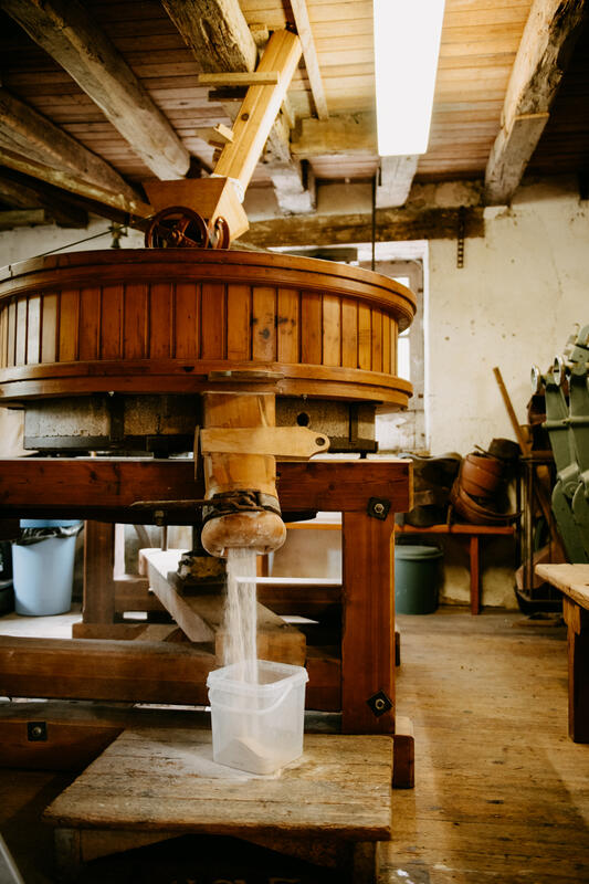 Visite du moulin Cropet et la Galerie Rive Mauve