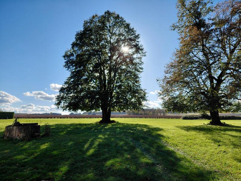 Maison ancienne - 99 m² - 6 pièces