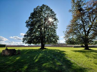 Maison ancienne - 99 m² - 6 pièces