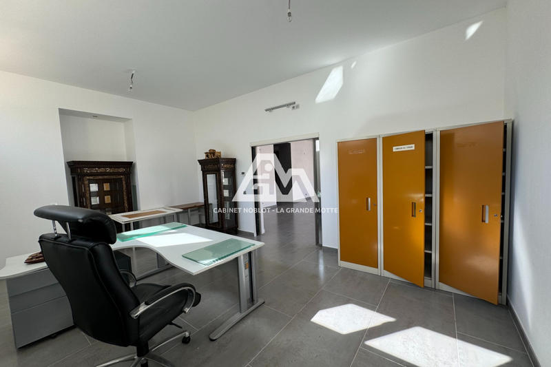 Hôtel particulier - 269 m² - 6 pièces