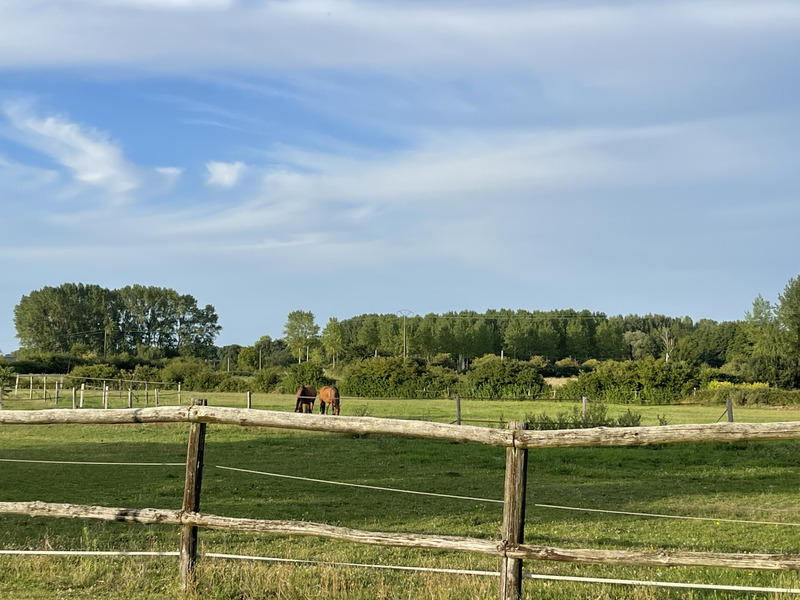 Maison - 150 m² - 8 pièces