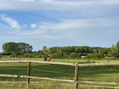 Maison - 150 m² - 8 pièces