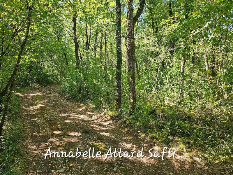 Terrain - 26 840 m²