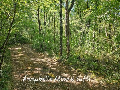 Terrain - 26 840 m²