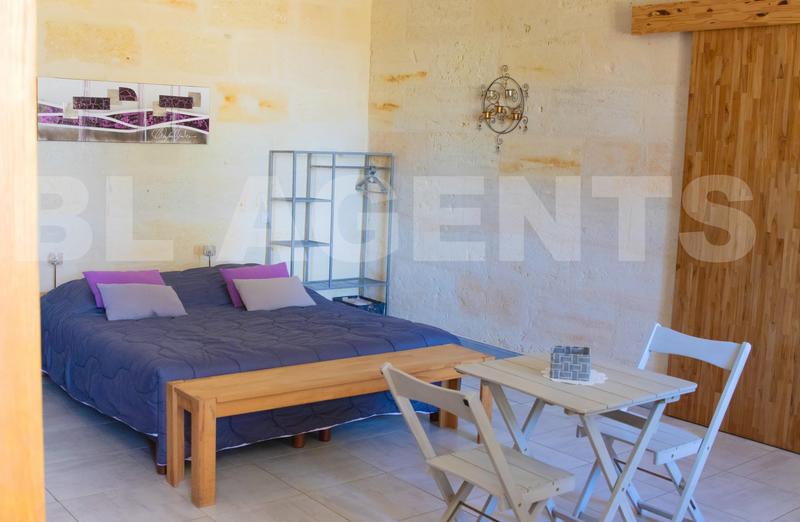 Propriété - 341 m² - 12 pièces