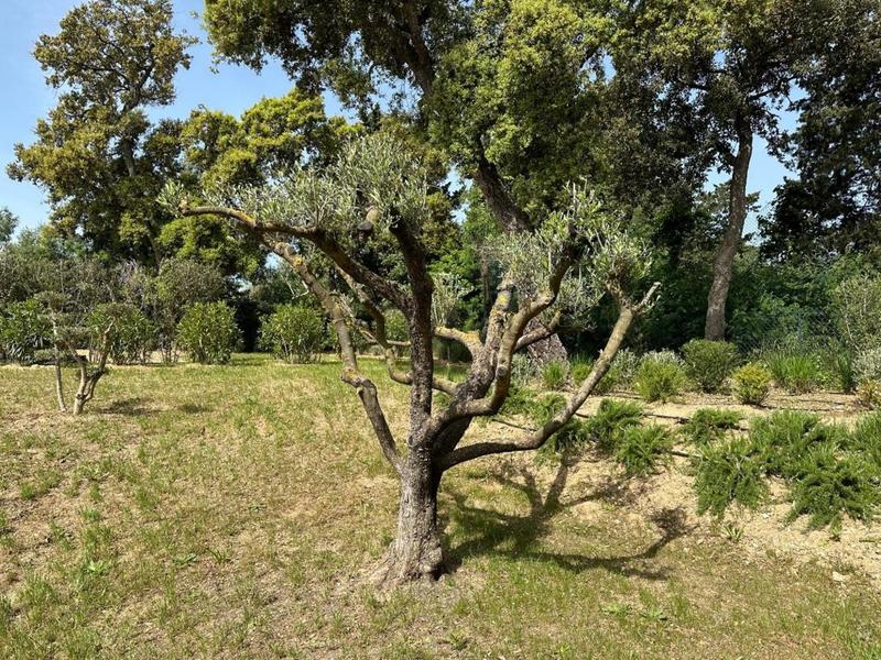 Appartement - 95 m² - 4 pièces