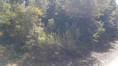 Terrain - 11 610 m²