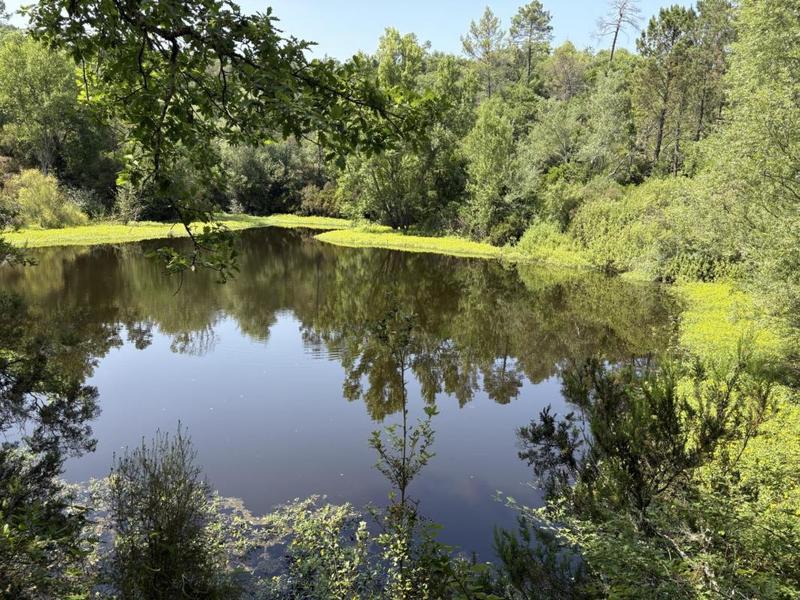 Terrain agricole - 80 000 m²