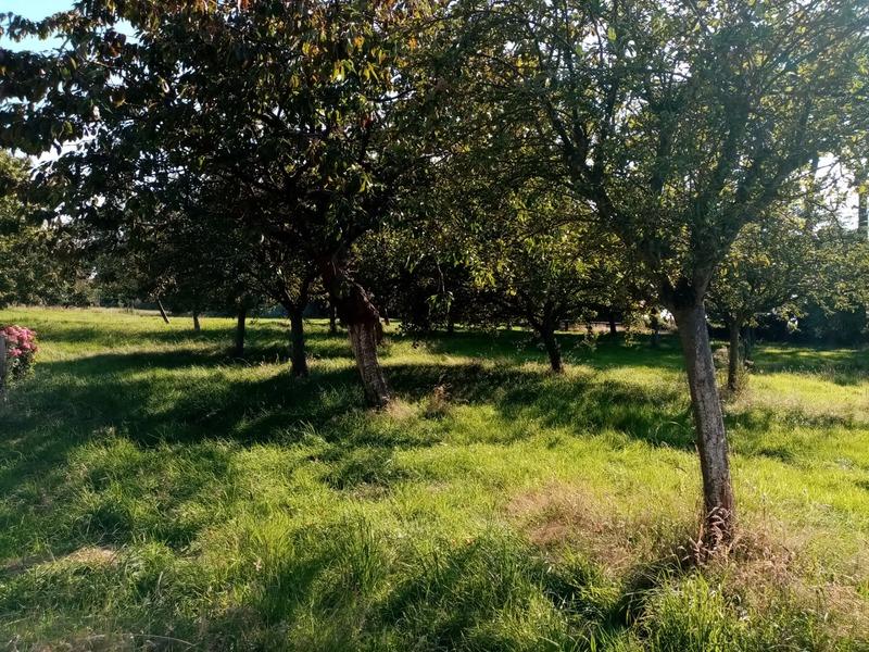 Maison - 107 m² - 4 pièces