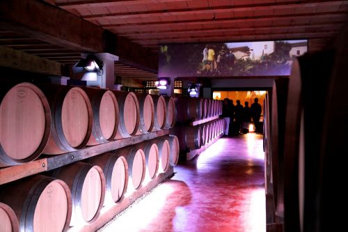 Cave de Labastide de Lévis