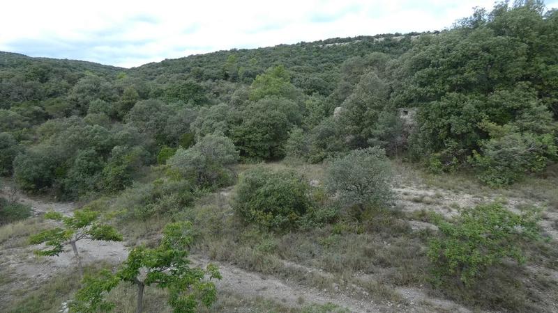 Maison en pierre - 300 m² - 6 pièces