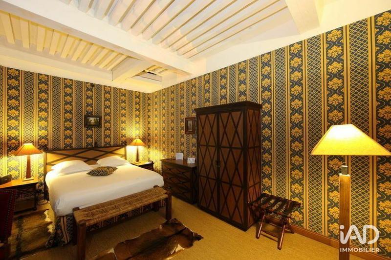 Château - 700 m² - 21 pièces