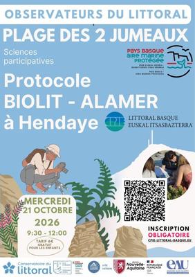 Observateurs du Littoral : découvrez la richesse de la biodiversité de l’estran rocheux.