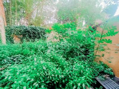 Maison - 75 m² - 2 pièces