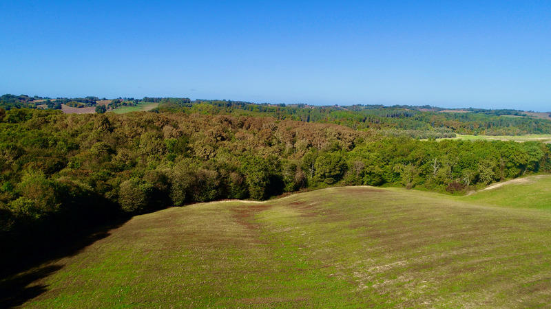 Terrain agricole - 490 712 m²