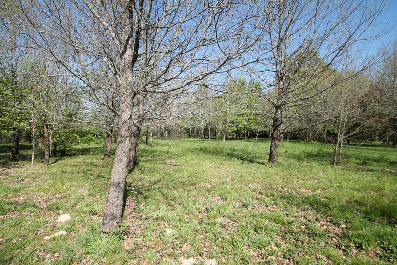 Terrain constructible - 1 029 m²