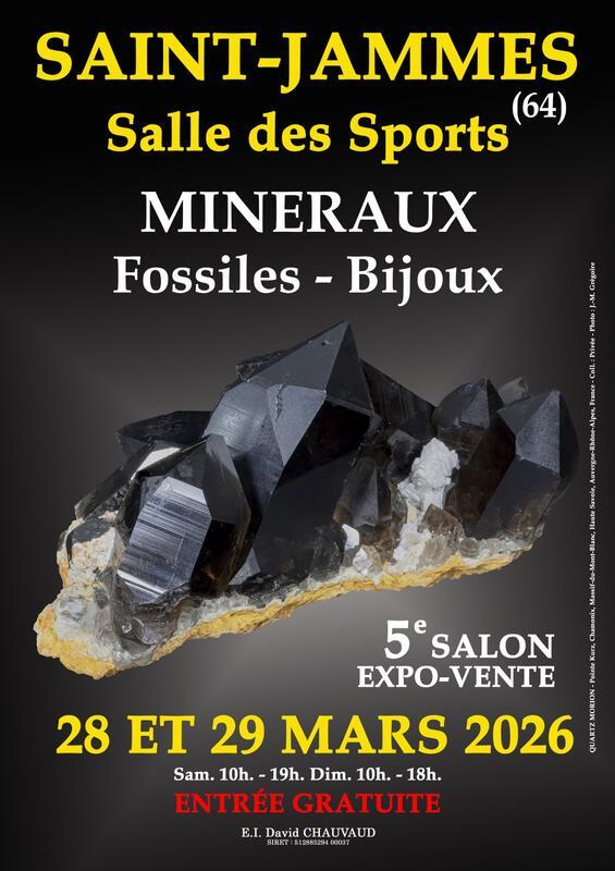 5e salon minéraux fossiles bijoux