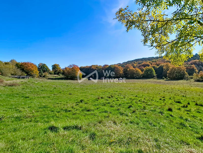 Maison ancienne - 475 m² - 8 pièces