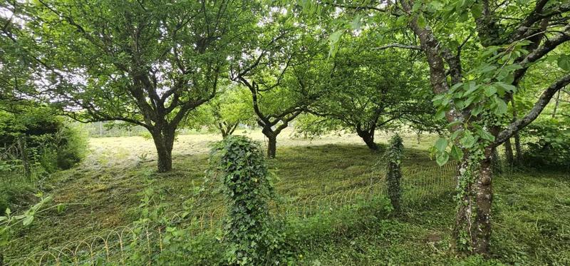 Maison - 157 m² - 7 pièces