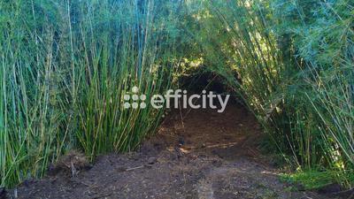 Terrain - 640 000 m²