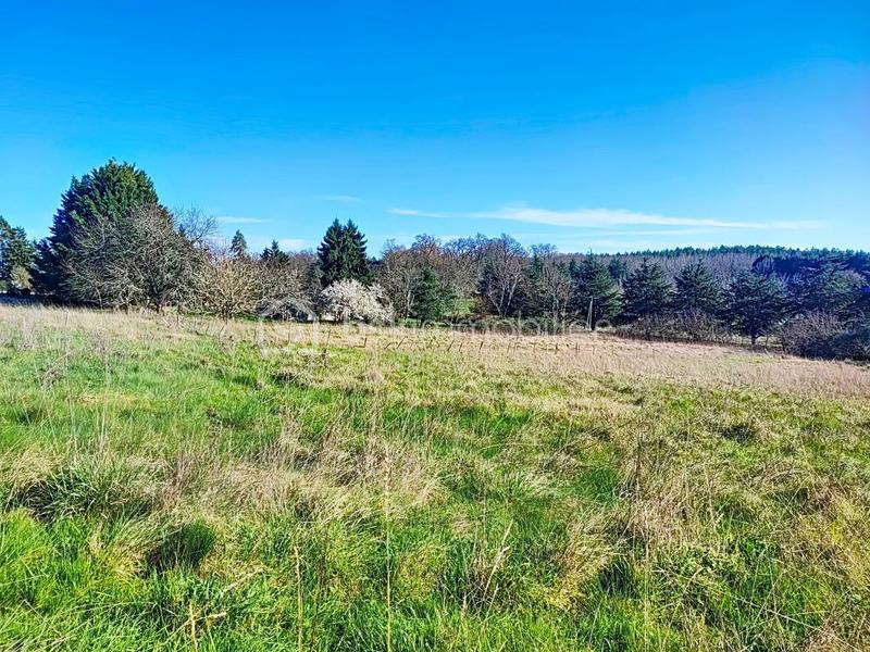 Propriété - 77 m² - 4 pièces