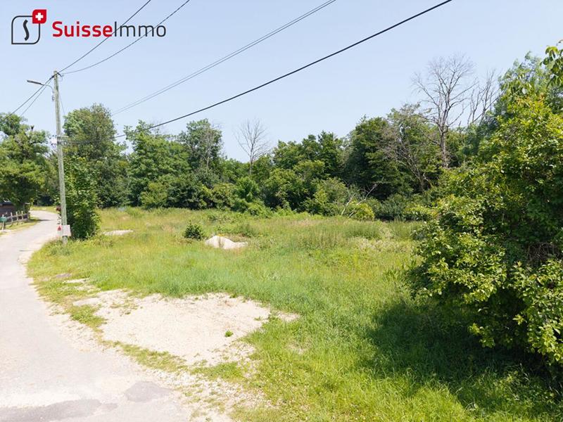 Terrain constructible - 3 045 m²