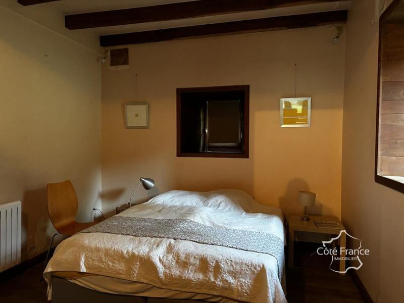 Moulin - 209 m² - 7 pièces