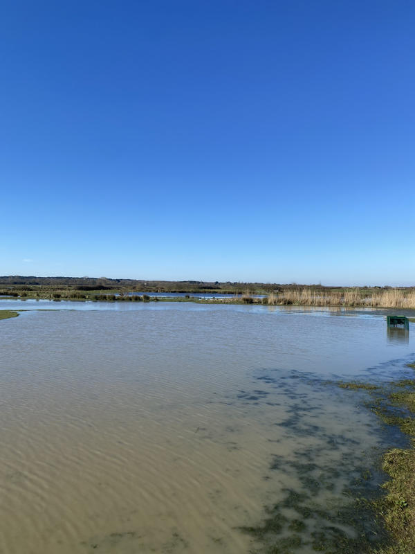 Terrain - 33 800 m²