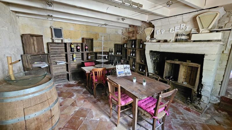 Maison - 530 m² - 15 pièces