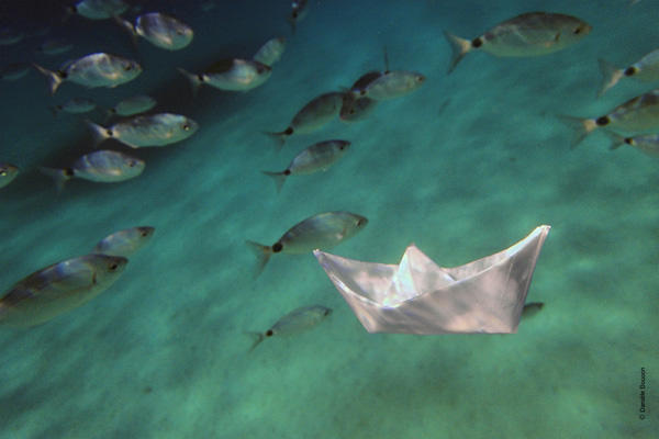 Exposition Photos "Voir la Mer" de Danièle Boucon