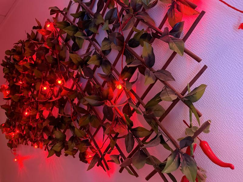 Belle Étoile - Massage 94300