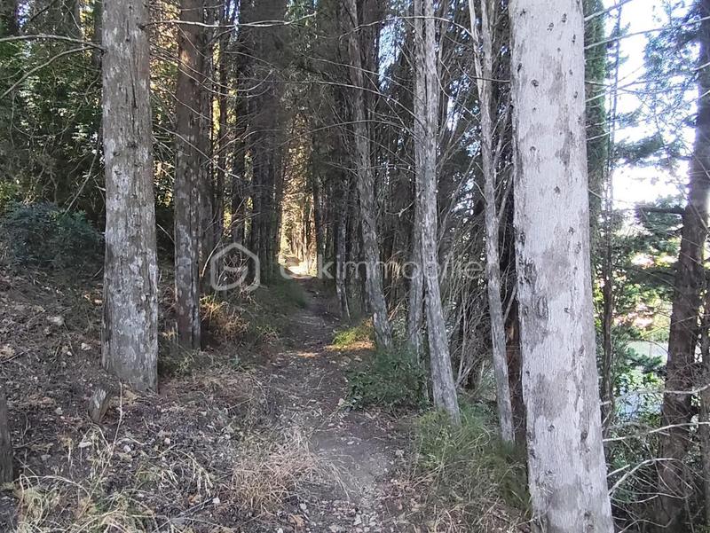 Terrain agricole - 1 625 m²