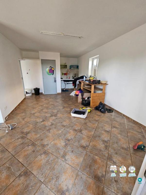 Appartement - 55 m² - 2 pièces