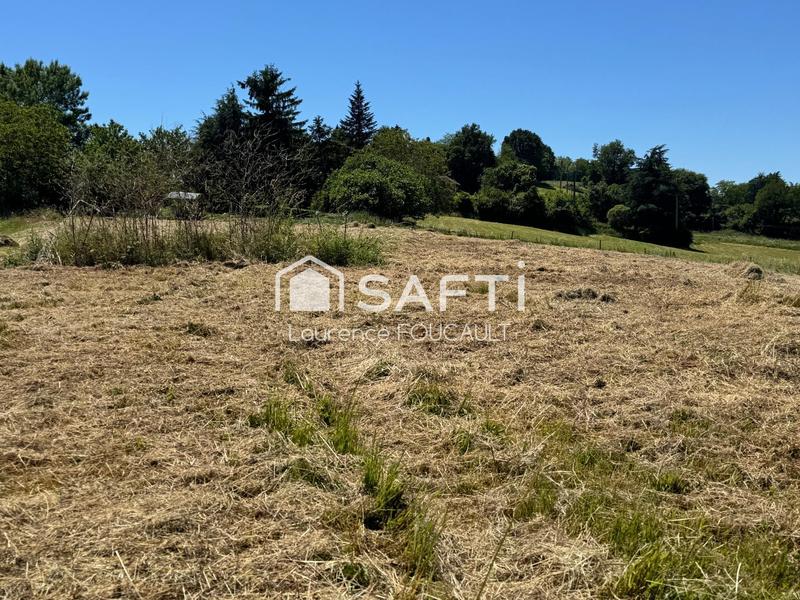 Terrain - 2 289 m²