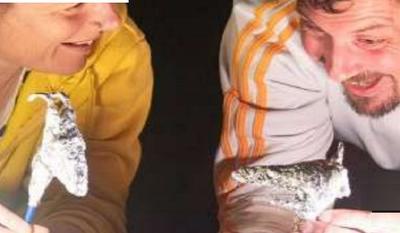 Théâtre Jeunesse : Méchant