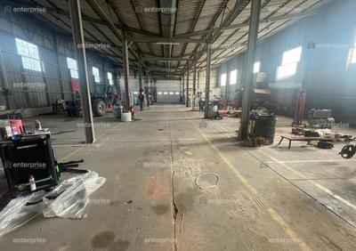 Local d'activité / Entrepôt - 1 000 m²