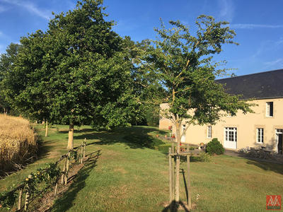 Maison - 300 m² - 10 pièces