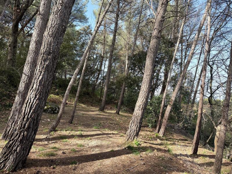 Maison - 165 m² - 6 pièces