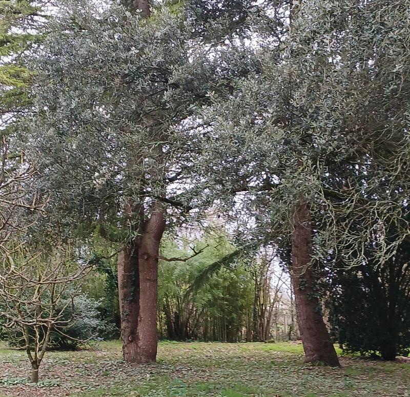 Maison - 205 m² - 7 pièces