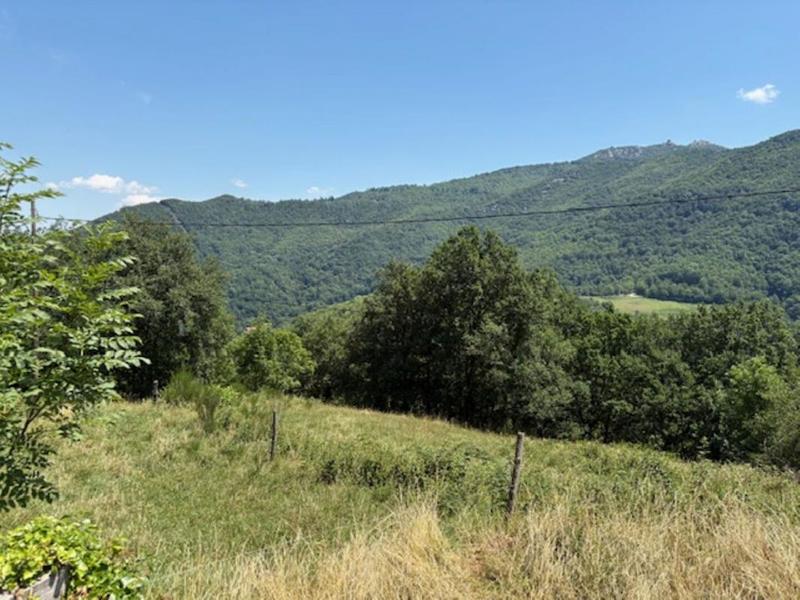 Propriété - 240 m² - 6 pièces