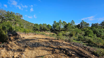 Terrain - 6 775 m²