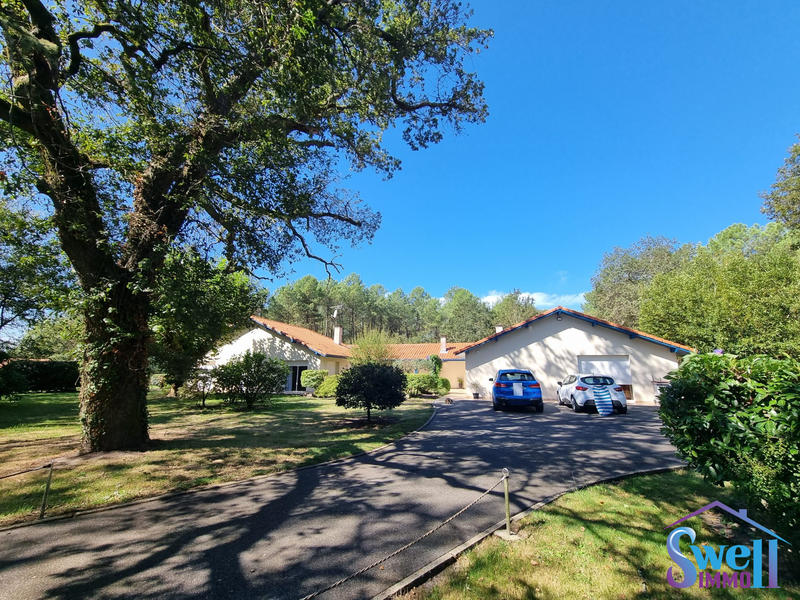 Maison contemporaine - 303 m² - 10 pièces