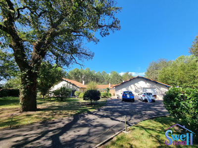 Maison contemporaine - 303 m² - 10 pièces