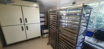 Appartement - 90 m² - 2 pièces